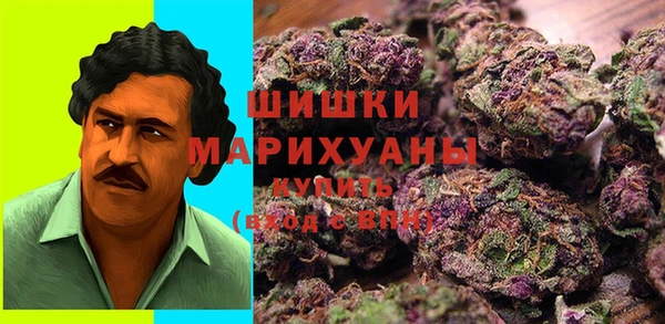 герыч Бронницы