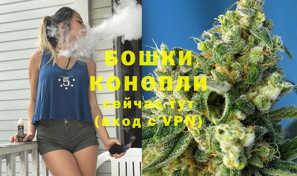 тгк Бородино