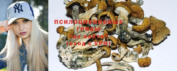 тгк Бородино