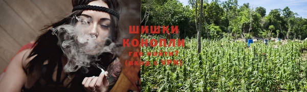 герыч Бронницы