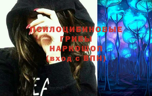 герыч Бронницы