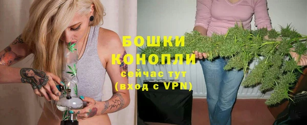 тгк Бородино