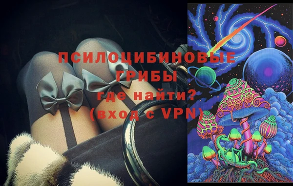 герыч Бронницы