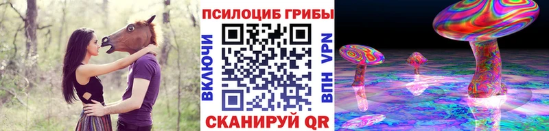 Купить  Усть-Кут  Галлюциногенные грибы Cubensis 